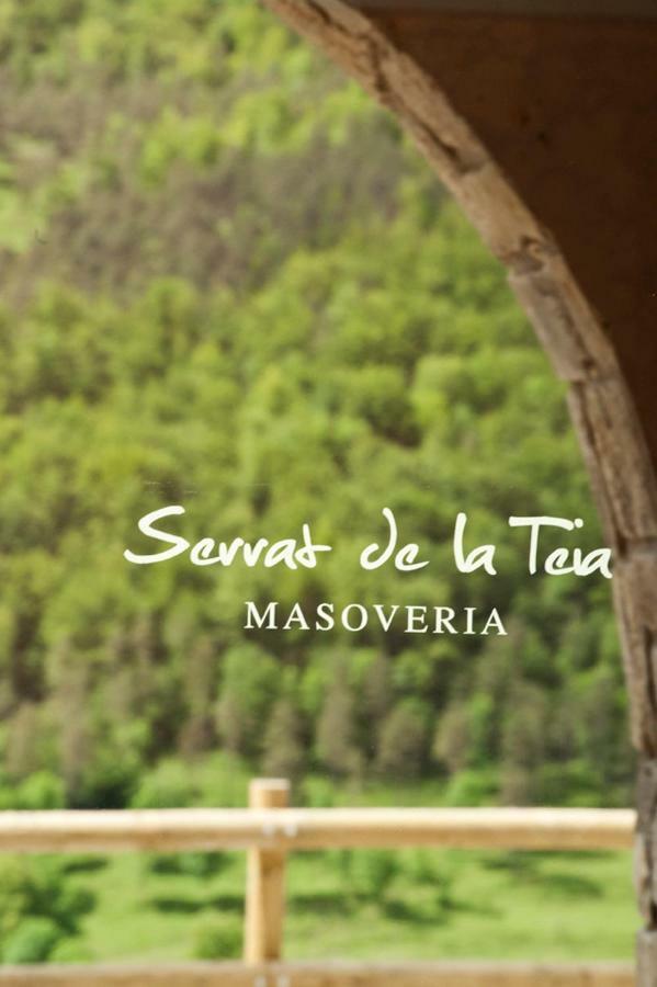 Mas Serrat De La Teia Sant Joan de les Abadesses Εξωτερικό φωτογραφία